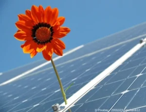 Solarenergie - aus dem Artikel - Warum grüne Energie kein Trend sondern eine Pflicht ist