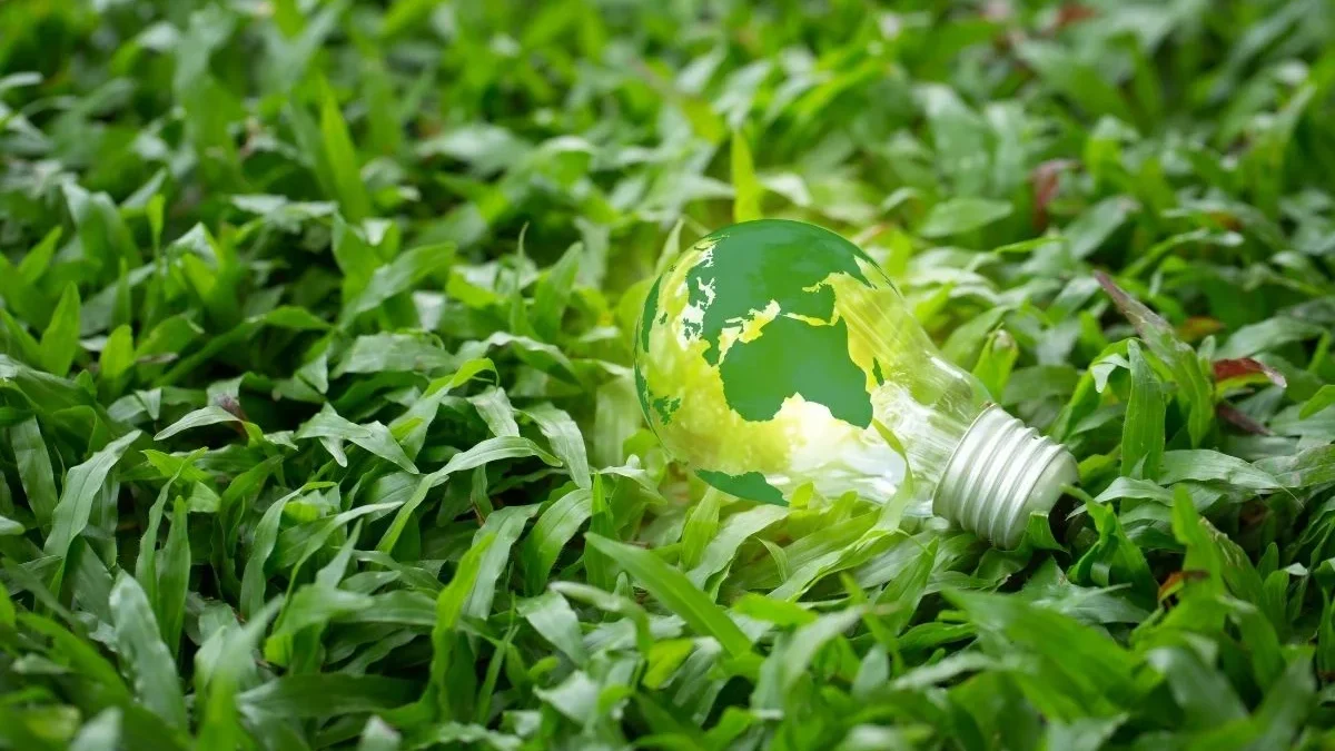 Die Energiewende: Der Weg zum Umstieg auf nachhaltige Energiequellen